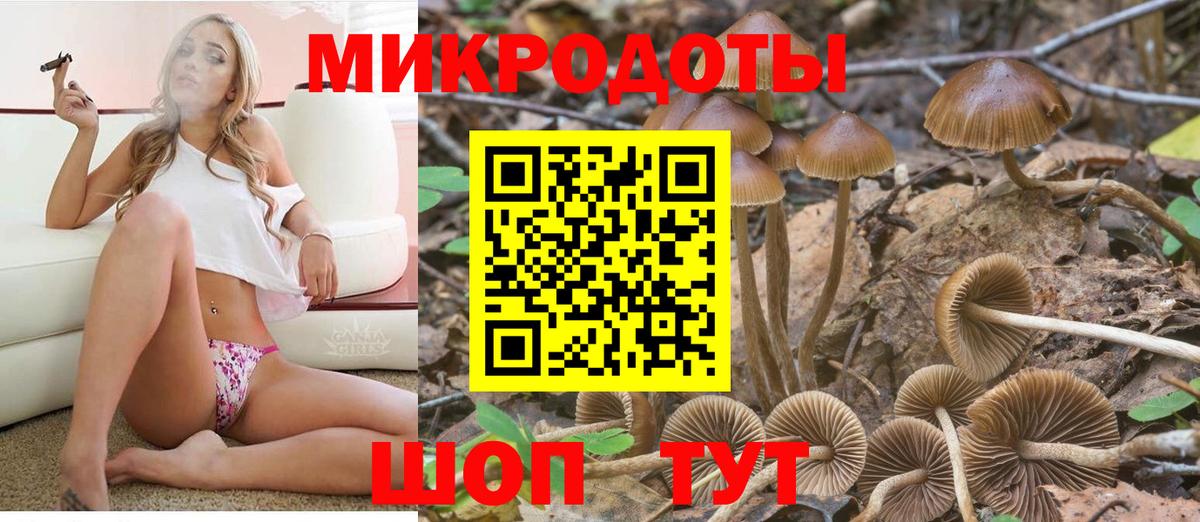 Кинешма  Псилоцибиновые грибы мухоморы  Вход с VPN  Галлюциногенные грибы прущие грибы 